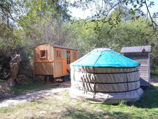 Le Bois Davy - Le Thoureil - 3