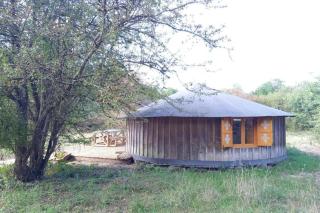 Le Bois Davy - Le Thoureil - 6