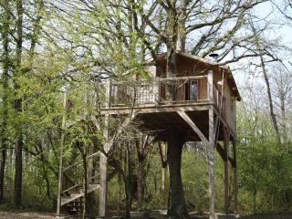 Le Bois Davy - Le Thoureil - 9