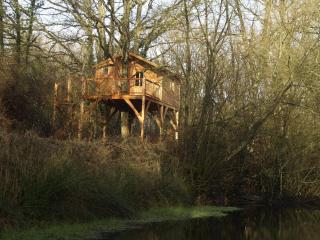 Le Bois Davy - Le Thoureil - 8