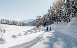 DAS GERSTL Alpine Retreat - 4