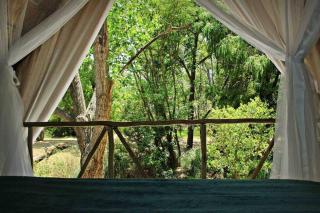 Hot Spring bungalow in Limpopo - Gemsbokfontein - 4