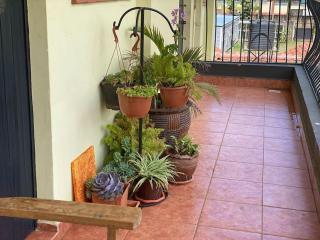 Cosy Westlands Apartment - 5