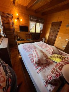 Old Mark's House Sinaia - 2