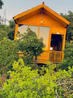 Ajloun Wooden Huts اكواخ عجلون الخشبية Live amid nature - 4