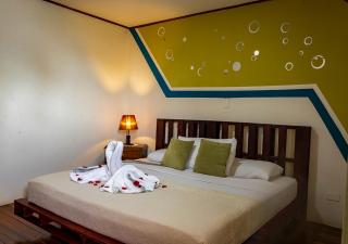 Eco Stay Hostel - San José - 9