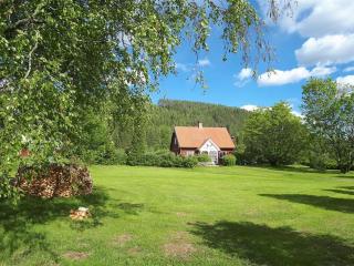 Countryside Holiday home "Our Little Farm" - Hagfors - 0