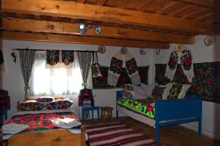 La Rodica in Vale - Ocna Şugatag - 3