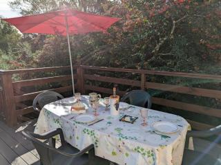 Appartement cosy avec terrasse et jardin privatif, à 5 min du centre-ville de Barbezieux. - FR-1-653-196 - Barbezieux-Saint-Hilaire - 3