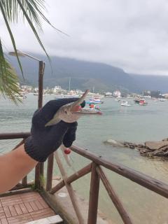 A Casa da Ilha de Itacuruçá - 9