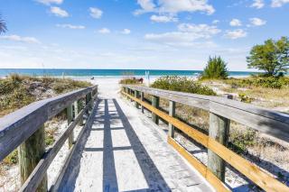 Sea Shell 14 - Premier - 5