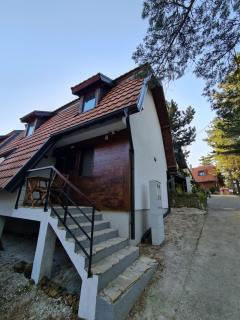 Šumor šume - Tara - 8