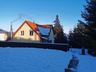 Cabana Alina - Păltiniş - 2