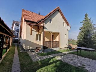 Cabana Alina - Păltiniş - 7