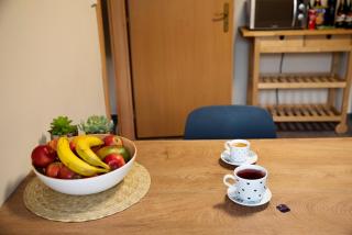 Apartmán u Horynů - Hýblova - Česká Třebová - 7