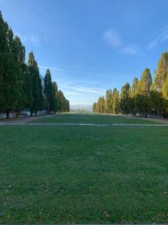 Eine gemütliche Einzimmerwohnung - 1