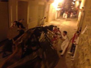 Medieval house near Pamplona - Artajona - 9