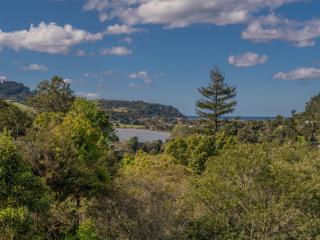 Hillside Haven - Tairua Holiday Home - 6
