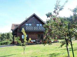 Modern holiday homes for 8 people with the pool - Kołczewo - 9