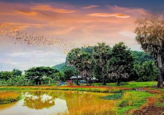Family Batcave Homestay - Battambang - 4