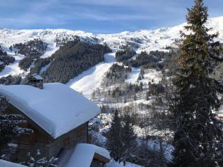Chalet cosy · Ski au pieds · Centre station · Balcon - FR-1-688-29 - 9