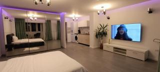 Inginerilor Tei Studio by ACME RENT - Bucarest - 9