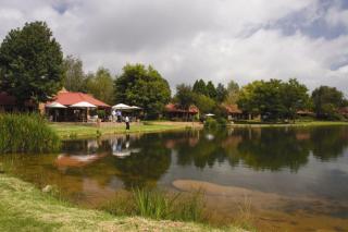 Critchley Hackle - Dullstroom - 5
