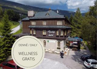 Alpský Hotel - Špindlerův Mlýn - 0