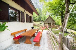Alpine house Antonia - Trenta - 8