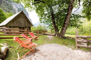 Alpine house Antonia - Trenta - 7
