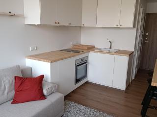 Stylish Studio in Central Vilnius - Vilnius - 6