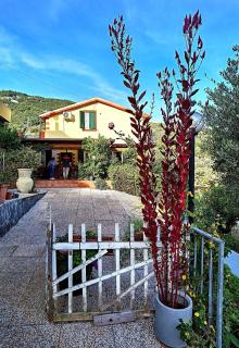 Villa Patrizia - La Spezia - 8