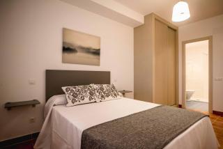 Apartamentos AL PASO DE TOLEDO, Puy du Fou a 10km - Burguillos de Toledo - 9