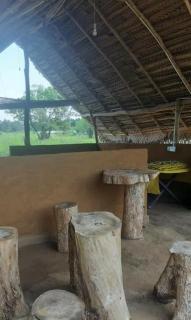 Habarana Farm Cottage - 8