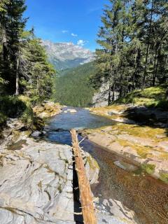 Au coeur des Alpes 3 - 8