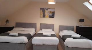 North Shields Serviced Apartments - South Shields - 5