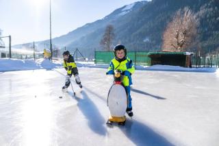 Familien- Sportresort BRENNSEEHOF - 5