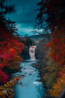 High Force Hotel - Newbiggin - 8