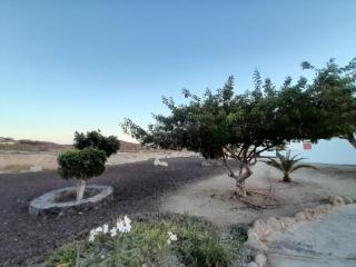 Tenerife Homestay - San Miguel de Abona - 1