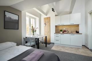 Villa Alpina - 5 minut do szlaków i wyciągów - Szklarska Poręba - 8