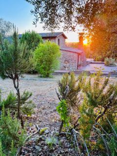 Casale Delle Querce farmhouse in Giove Umbria with pool - Giove - 9