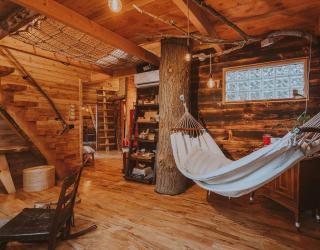 Treehouse on the Water -Eagles Nest-20 ft high - 8