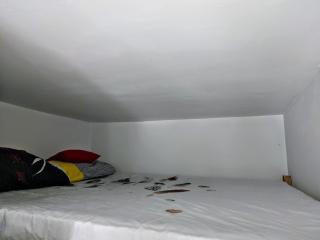 Back Garden Cabin Home with Terrace(Self Check-in) - 5