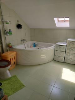 Cozy and modern house - Udeni-Zăvoi - 9