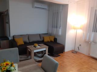Apartman Vlada - 6