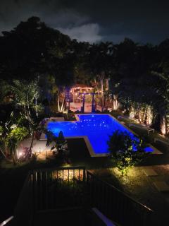 Mega House - Pickleball, Pool, BBQ, Golf, GameRoom - L37 - 2