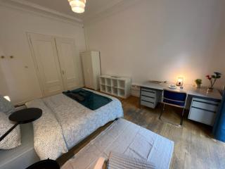 Chambres privées -Private room- dans un spacieux appartement - 100m2 centre proche gare - Mulhouse - 1