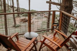 Treehouse-Small Eagles Perch over the water - Port Angeles - 8