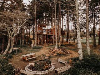 Treehouse-Small Eagles Perch over the water - Port Angeles - 1