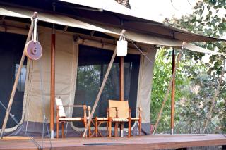 The Untamed Bandhavgarh by TUTC - 7